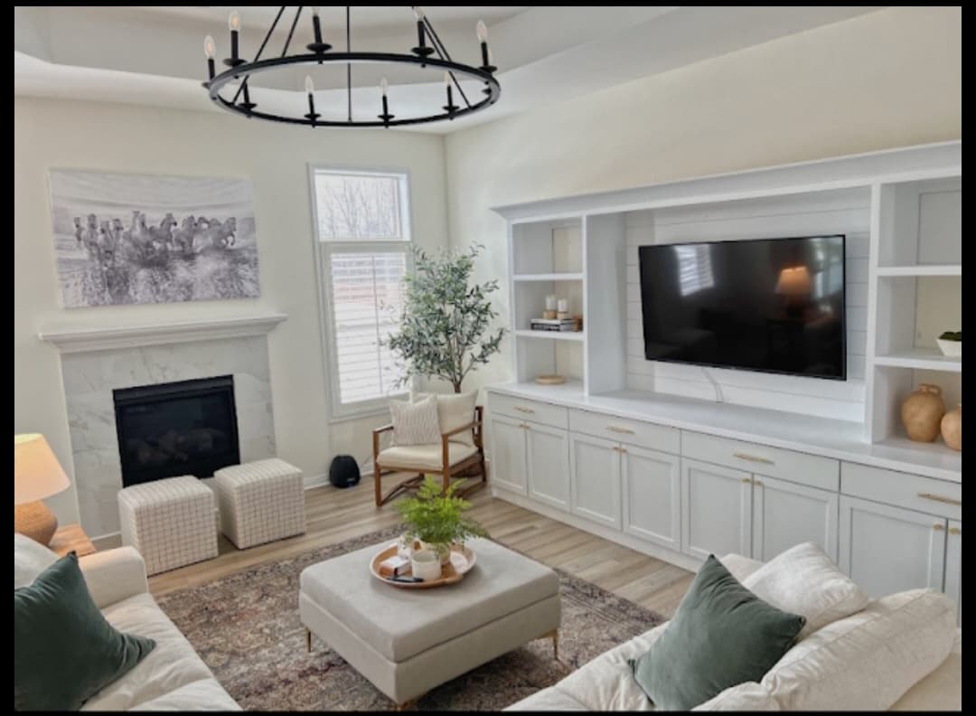 Built-In Entertainment Center — photo 1